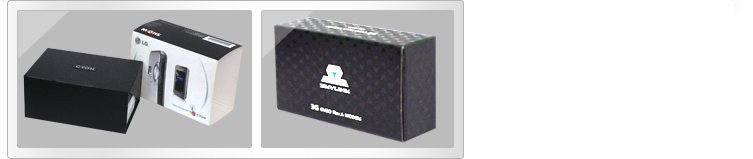 BOX_KT,SKYLINK