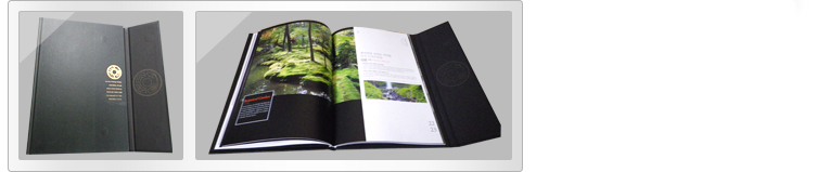 VIP manual